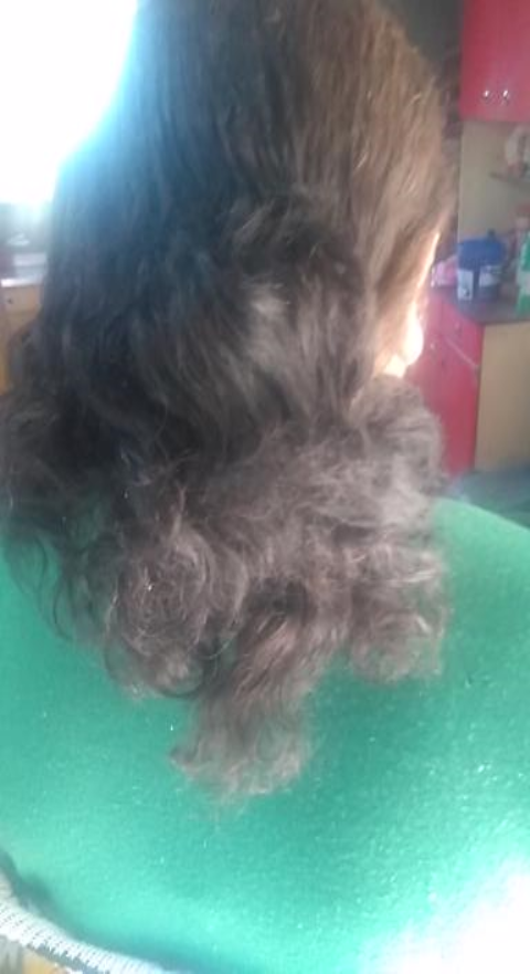 Vender meu cabelo